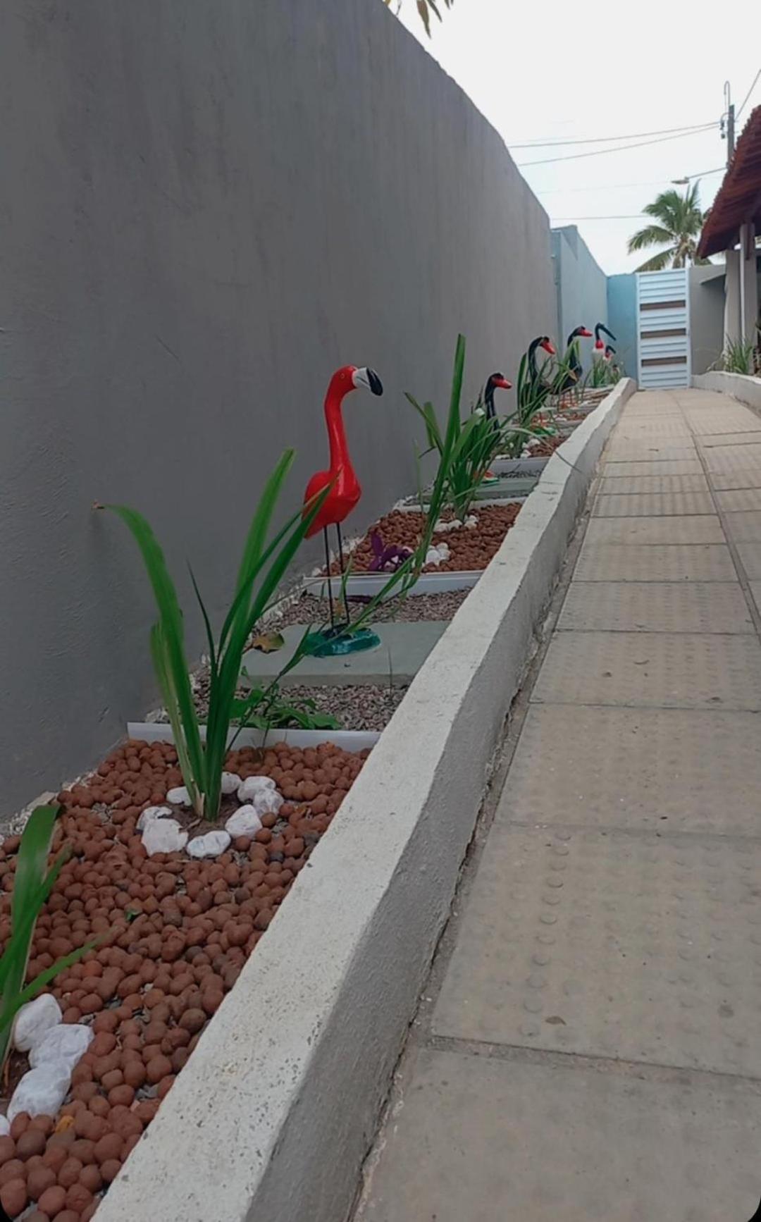 Villa Velha Flats Itamaracá エクステリア 写真